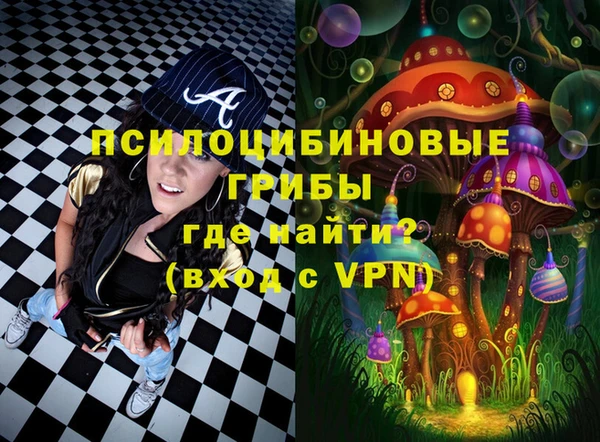 ECSTASY Вяземский