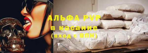 ECSTASY Вяземский