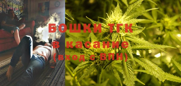 ECSTASY Вяземский