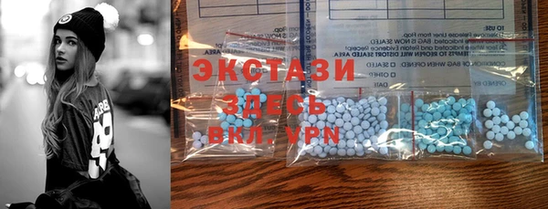 ECSTASY Вяземский
