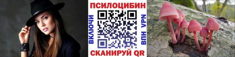 сколько стоит  Старый Оскол  Псилоцибиновые грибы GOLDEN TEACHER 